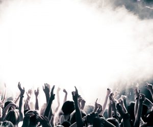 Aenean auctor wisi et urna