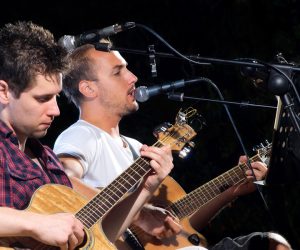 Bdarasas olernatur ferrode