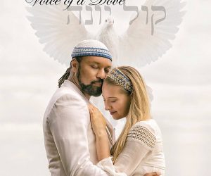 Voice of a Dove